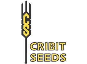 Cribit Seeds