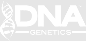 DNA Genetics