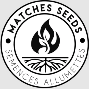 Matches Seed/Semences Allumettes