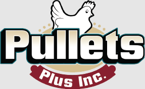 Pullets Plus Inc.