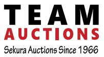 Team Auctions