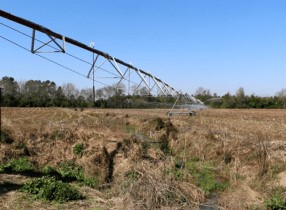 fertigate crops through a center pivot irrigation system.