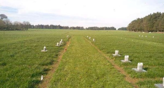 Experimental plots with greenhouse gas measurement chambers