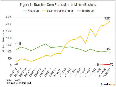 corn production