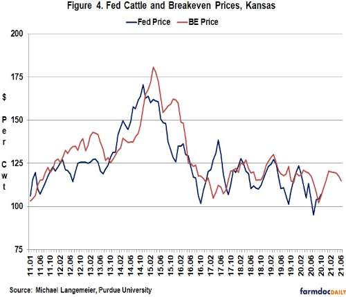 cattle price