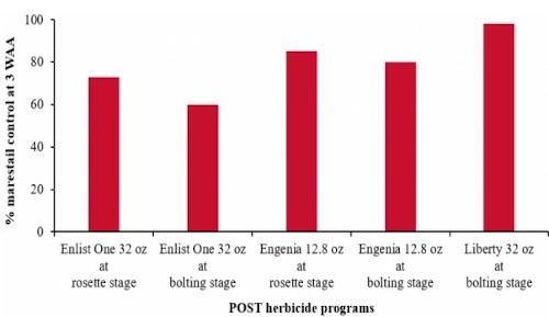 Effect of postemergence herbicides 
