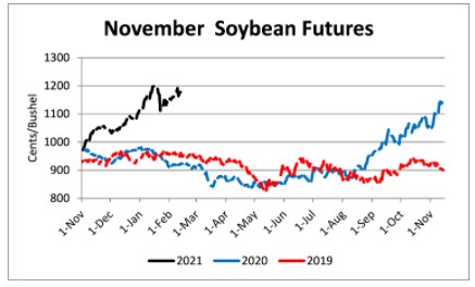 November 2021 soybean