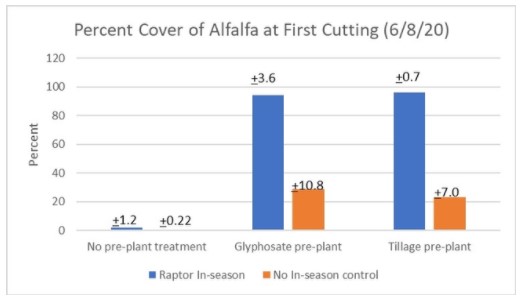 alfalfa during establishment