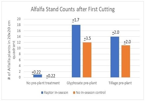Alfalfa stand counts