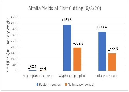 First cut alfalfa yields