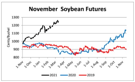 crop cash soybean prices