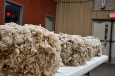 U.S. wool trade