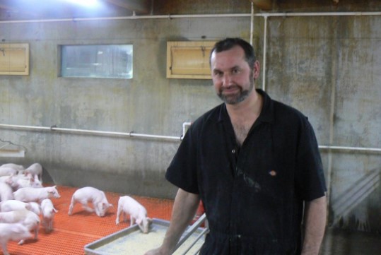 A man standing in a pig barn infront of a pen with piglets.