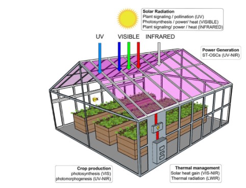 Solar Cell Greenhouses