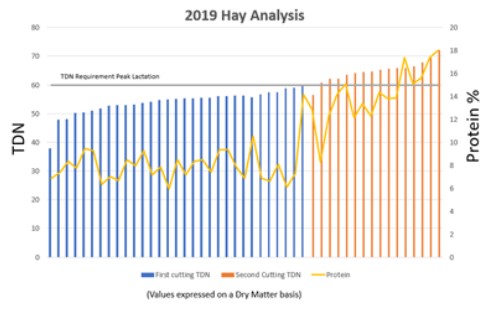 2019 hay analysis