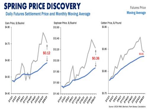 Spring Price Discovery Period