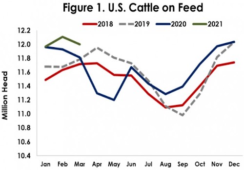 Cattle on Feed Report