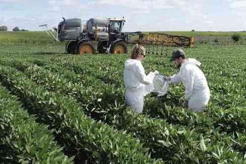 Researchers testing foliar fungicide spray