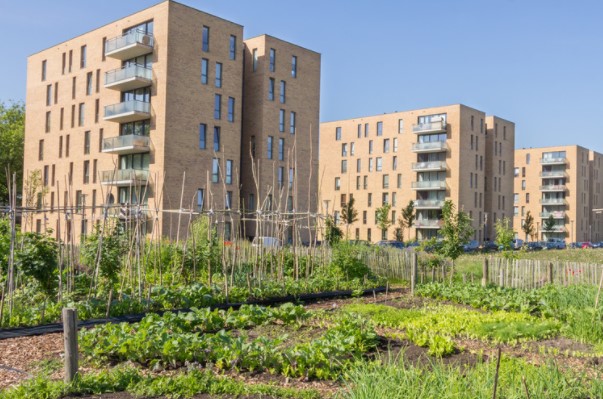 nutrition urban agriculture