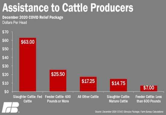 cattle producers