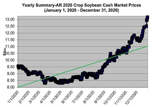 soybean cash market prices 