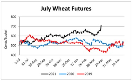wheat planted at 19%