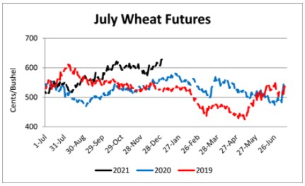 crop wheat 2021