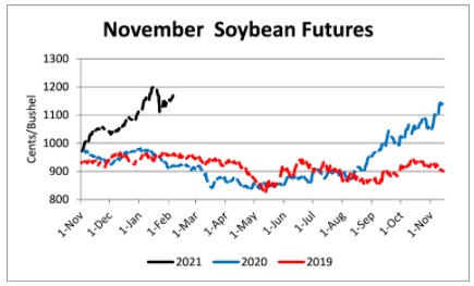 November 2021 soybean
