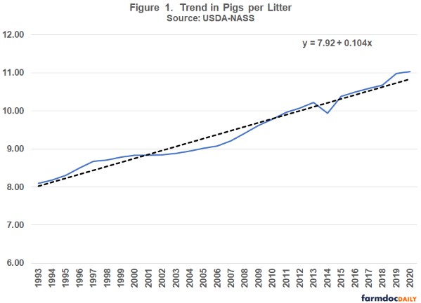 Predicted pigs per litter from 1993 to 2020