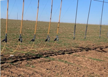 dragging drip irrigation lines