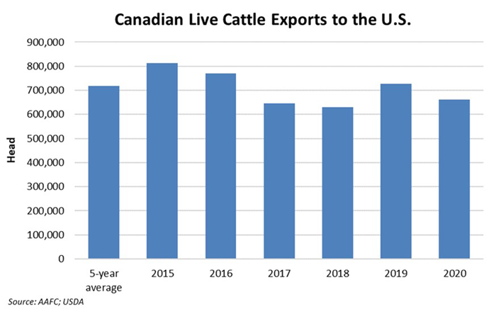 Canadian Live Cattle Exports to the U.S.