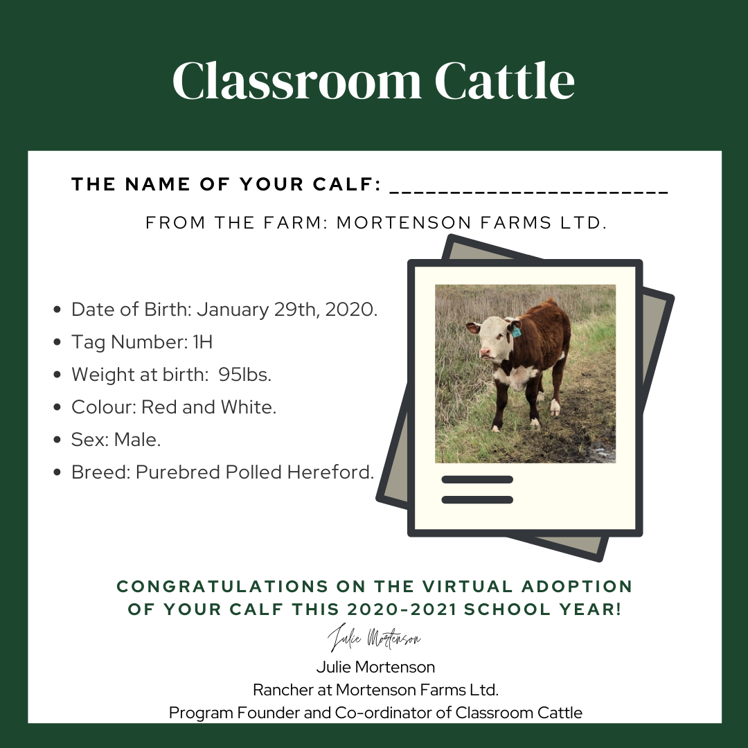 Classroom Cattle name card with cow