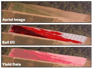 Aerial imagery, EC data and the yield data for a field have a good correlation