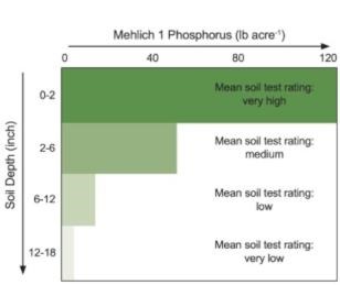 Figure 1. Distribution of Mehlich 1 phosphorus concentration in four soil depths