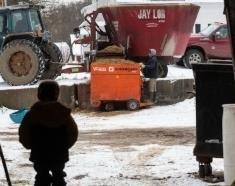 watches Noe Garcia Cruz fill a feed cart 