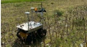 The Agrus model UGV travels down crop rows 