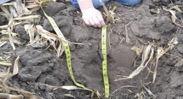 Digging a small hole with a spade is the best way to learn about the soil’s natural