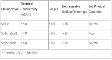 Salt-Affected Soil Classification