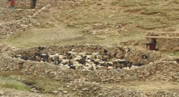 Local community sedentarization in Toubkal National Park