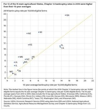 chart below shows the relationship between the 2019 bankruptcy