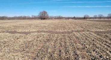 quality of cover crops and alternative carbon sources
