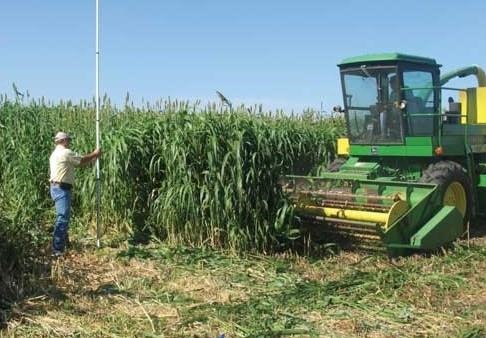 Figure 1. Harvesting a forage variety trial at the Southwest Research and Extension Center in Garden City, KS
