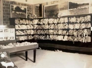 The Wool and Mohair Exhibit
