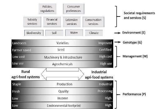 management factors and performance outputs are depicted as continuums