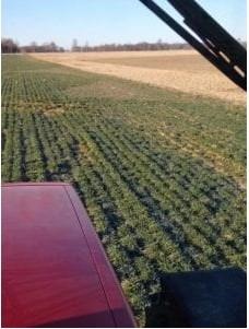 Fall manure or nitrogen application show benefit
