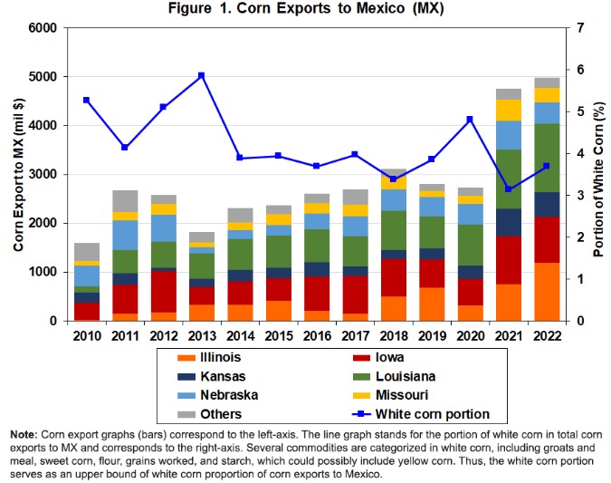 Implications for the US Corn Market
