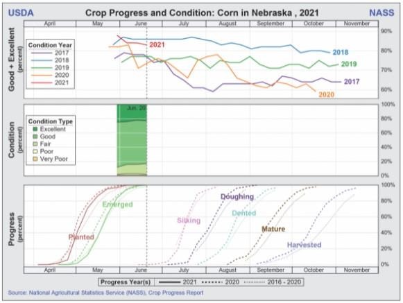 Corn Progress in Nebraska