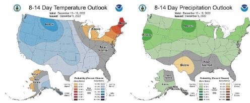Figure 3) Climate Prediction Center 8-14 Day Outlook valid for December 13 - 19, 2022, for left) temperatures and right) precipitation. Colors represent the probability of below, normal, or above normal conditions.