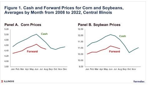 Table 1 also shows average monthly cash and forward prices for corn and soybeans