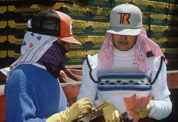 Two female farmworkers handle tags with boxes of berries behind them. Female farmworkers were at higher risk of obesity and larger waist circumference, while male farmworkers were at higher risk of high blood pressure and high total cholesterol. Differences in chronic health risks suggest that public health responses may need to consider gender, according to Susana Matias, UC Cooperative Extension specialist.